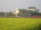DSCN5363.JPG