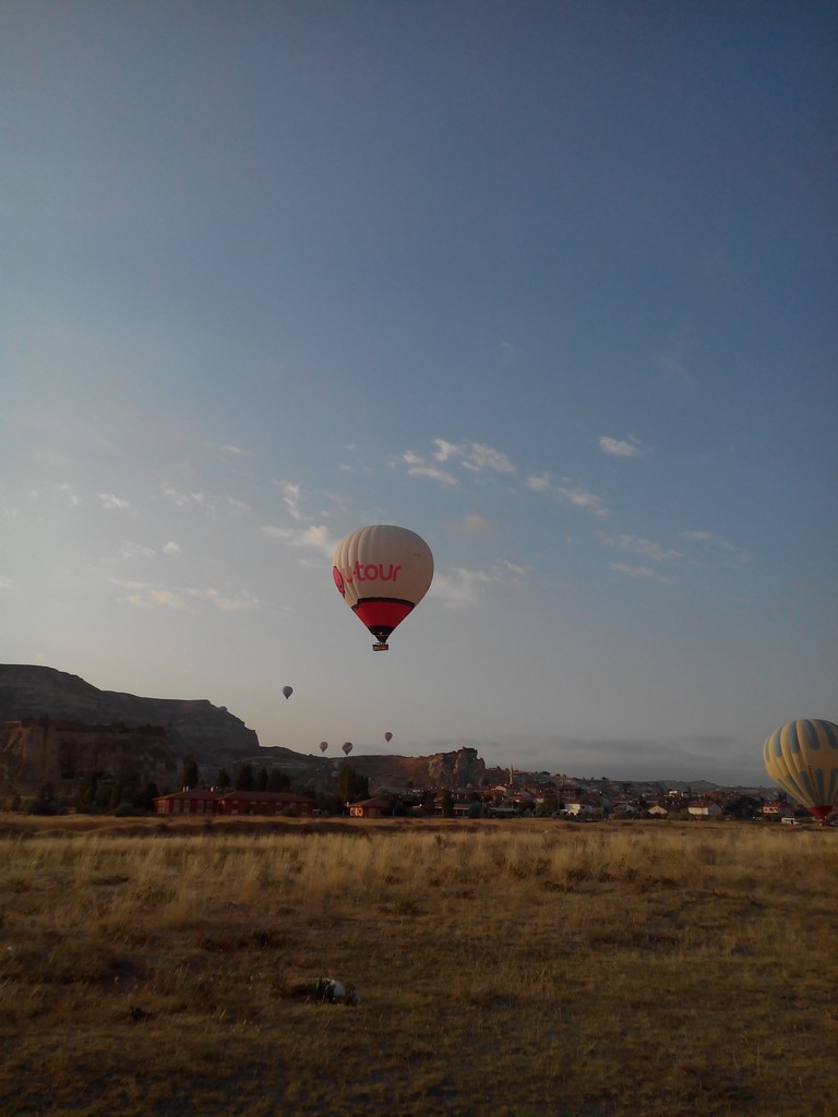 photo10.jpg