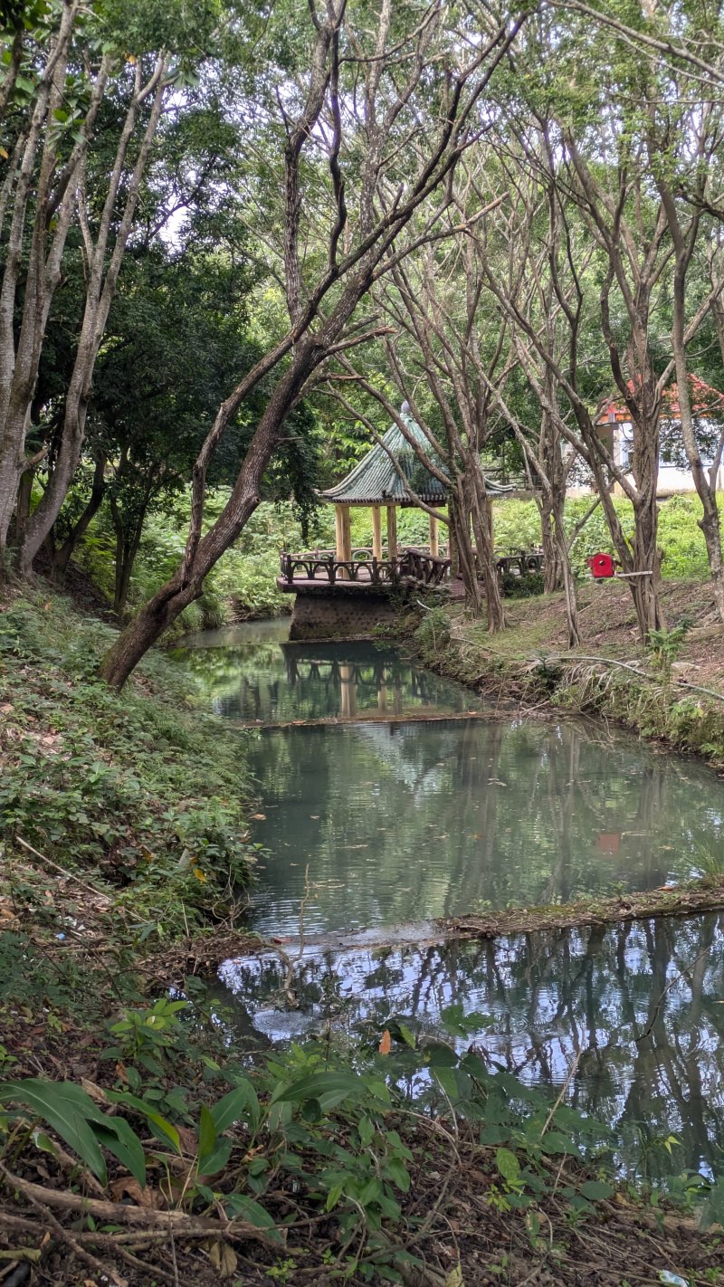 slider image 11