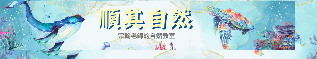 Web Title:507班級網頁